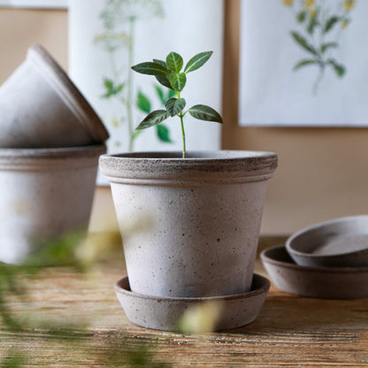 Flora RAW Grey