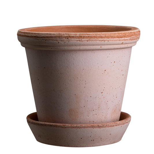 Flora RAW Rosa