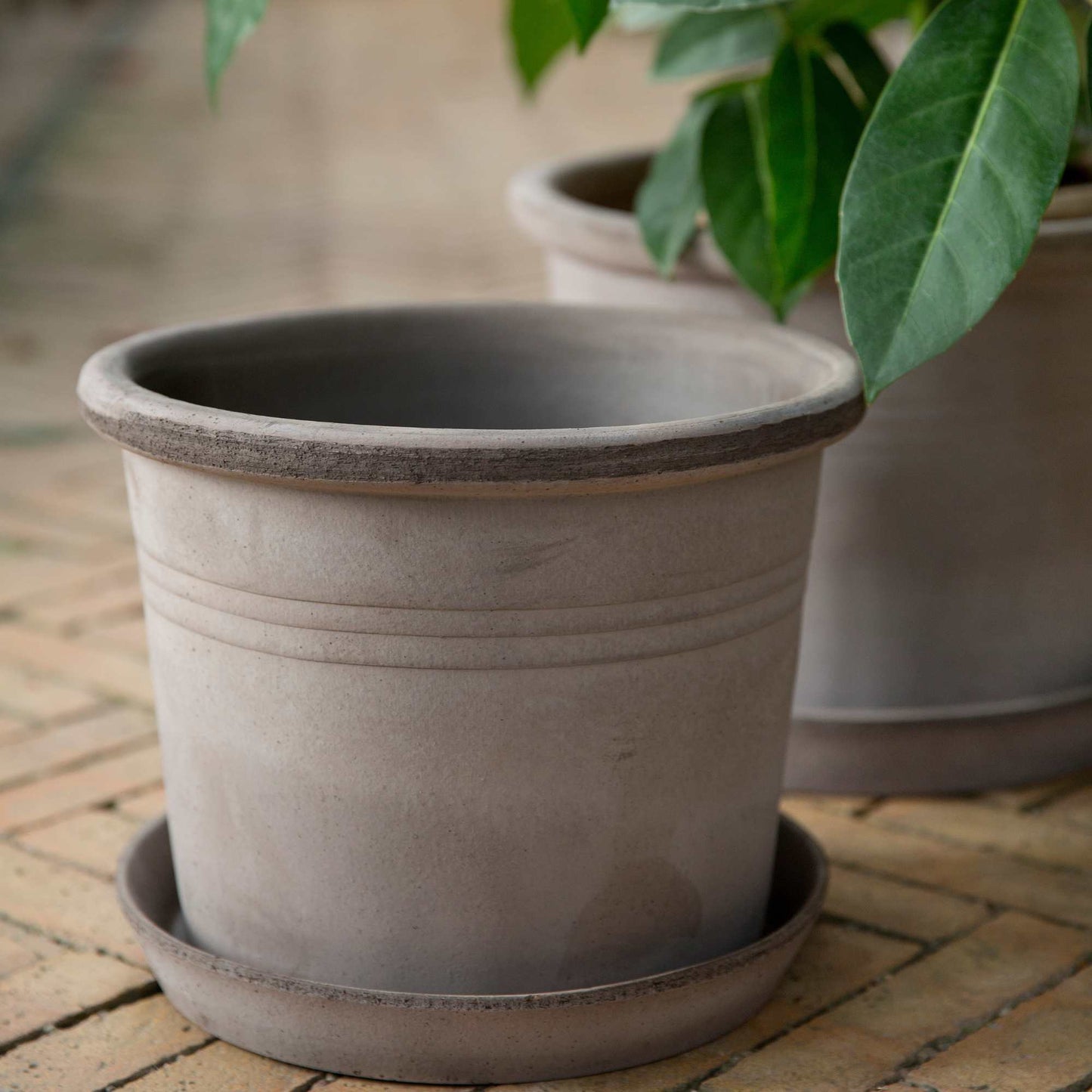 Galestro RAW Grey