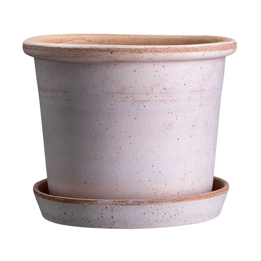Galestro RAW Rosa