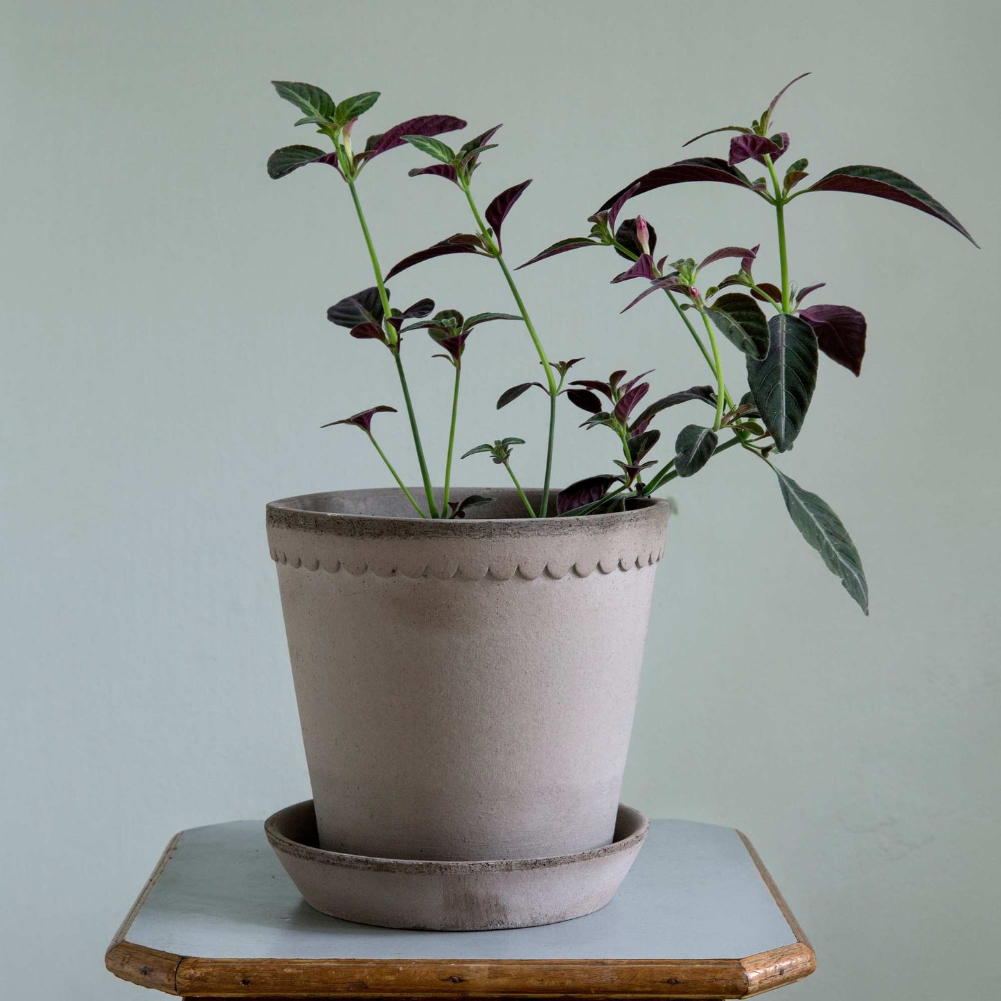 Helena RAW Grey