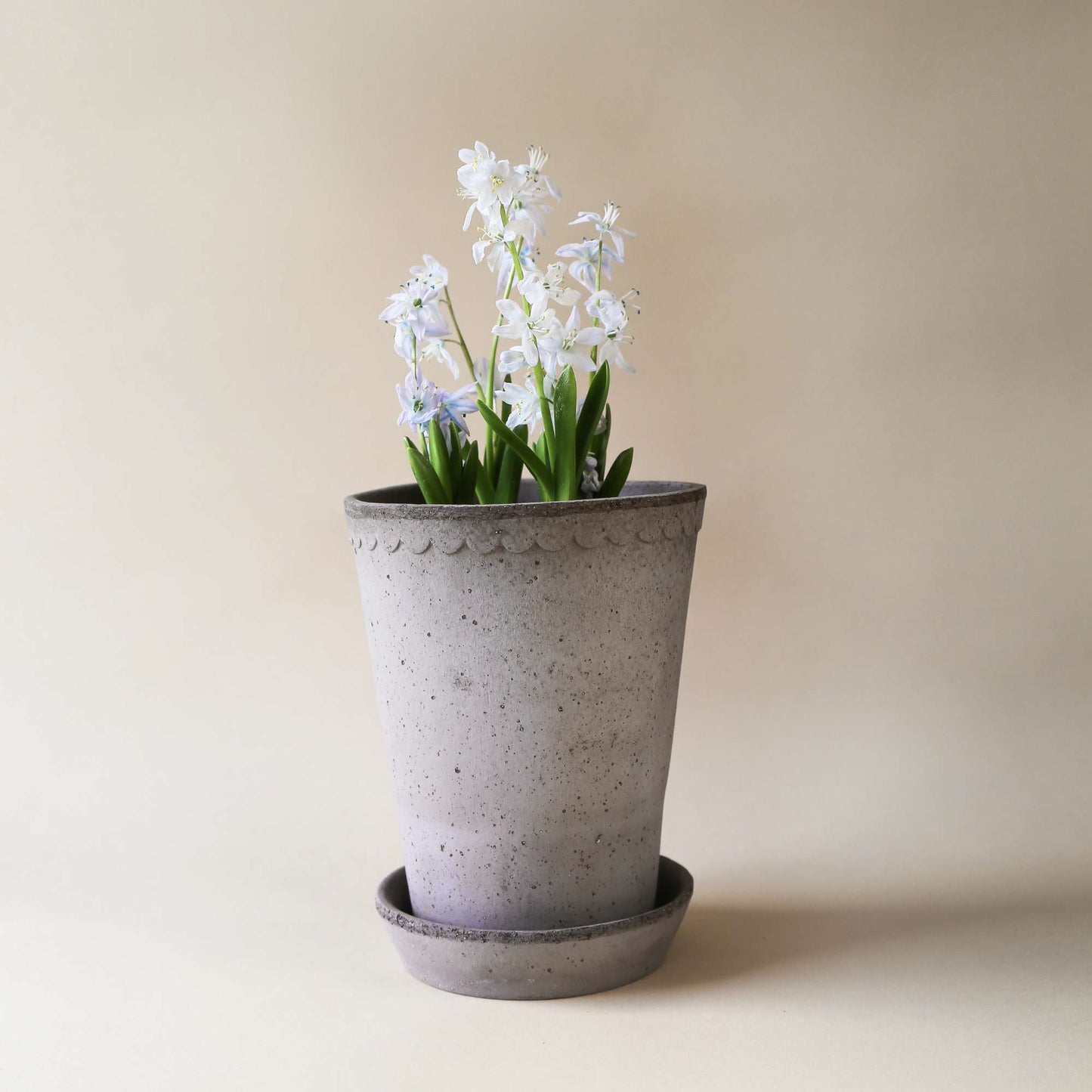 Helena RAW Grey Tall