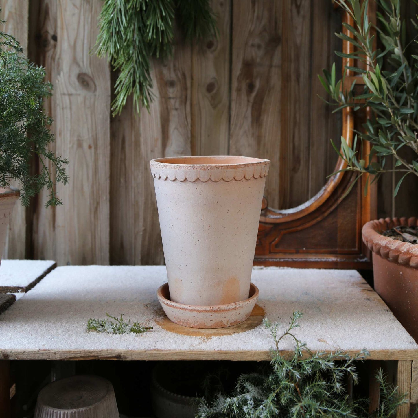 Helena RAW Rosa Tall
