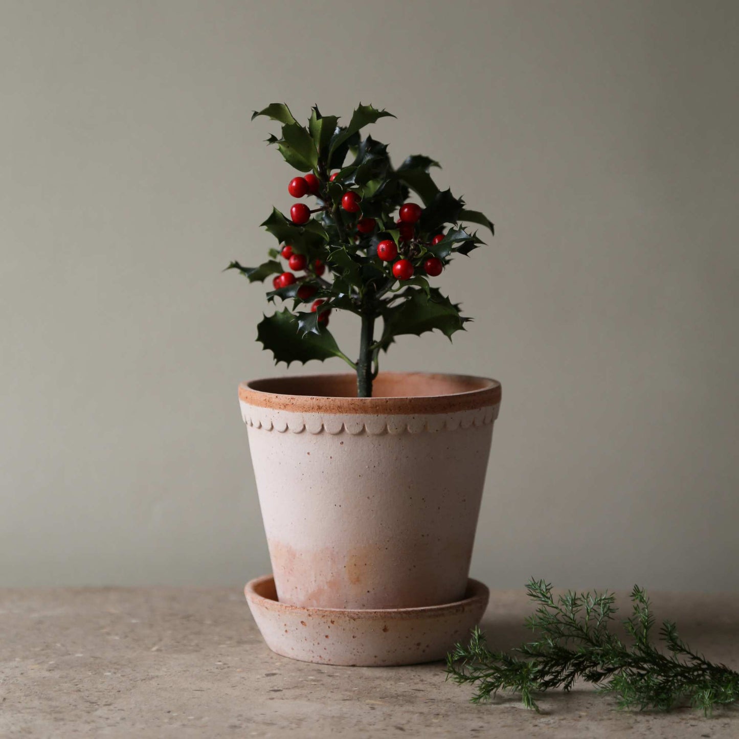 Helena RAW Rosa