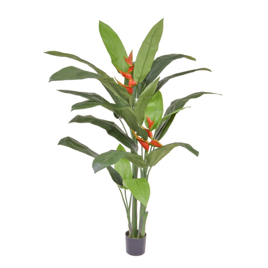 Heliconia umělá