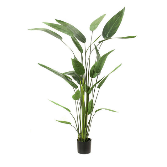 Heliconia umělá