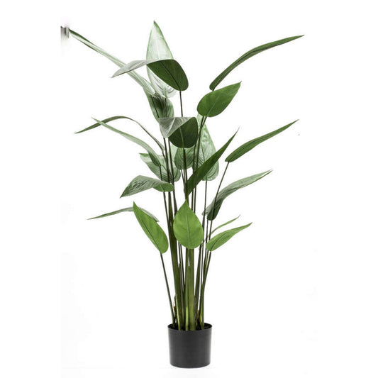 Heliconia umělá