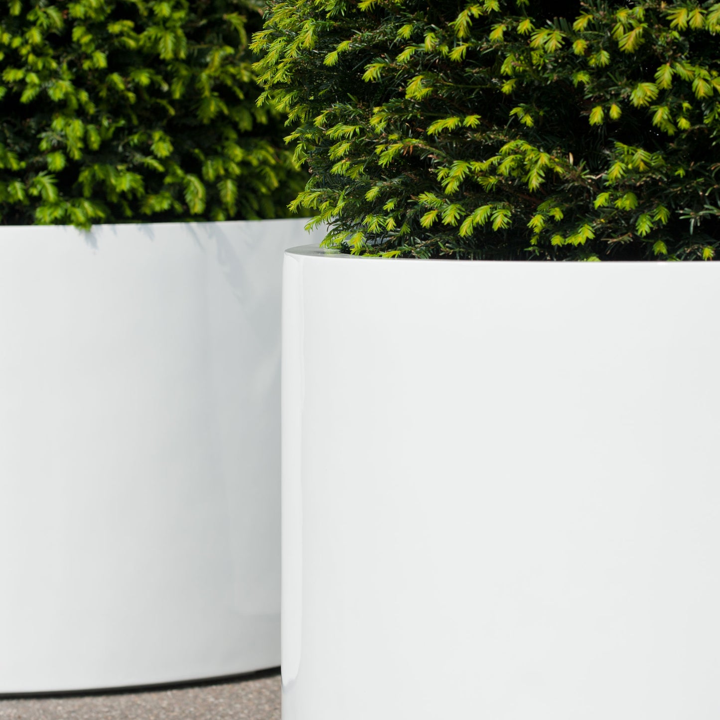 Jumbo Max Middle High Glossy white