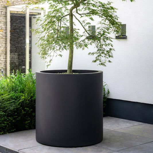 Jumbo Max Black