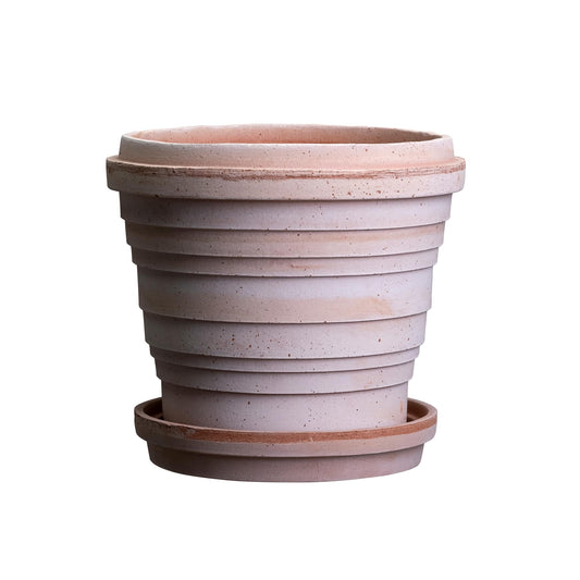 Jupiter RAW Rosa