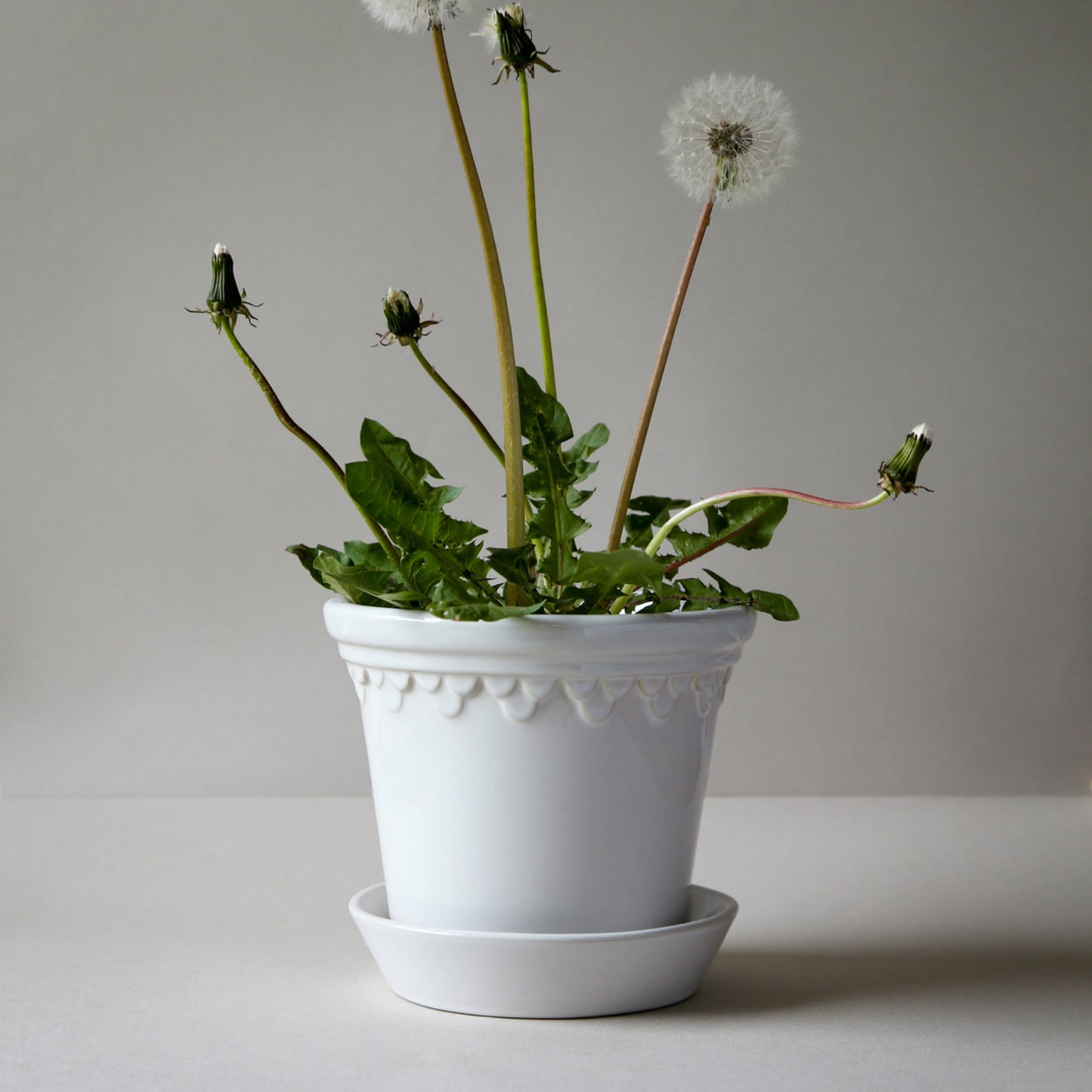 Københavner GLAZED Mineral White