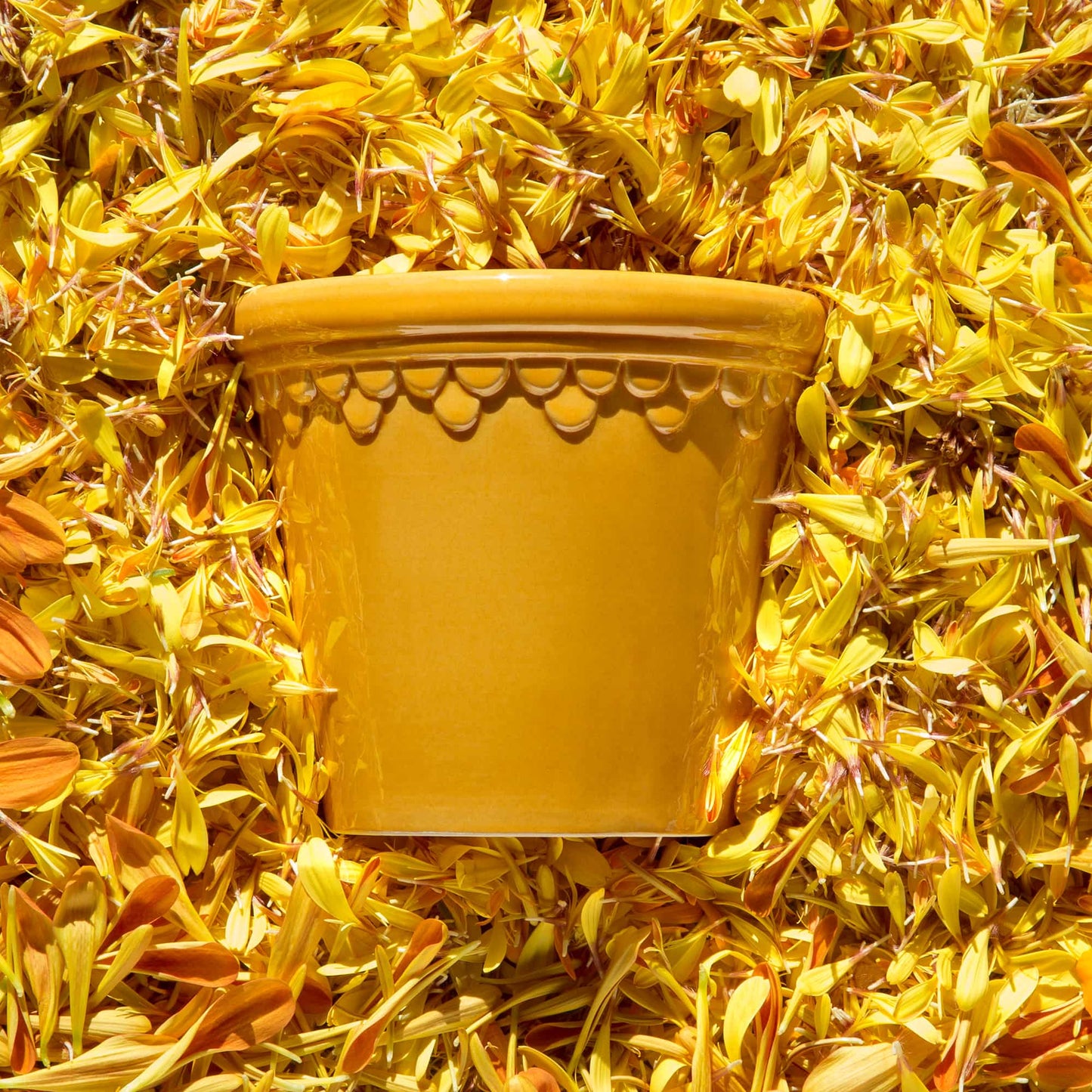 Københavner GLAZED Amber Yellow