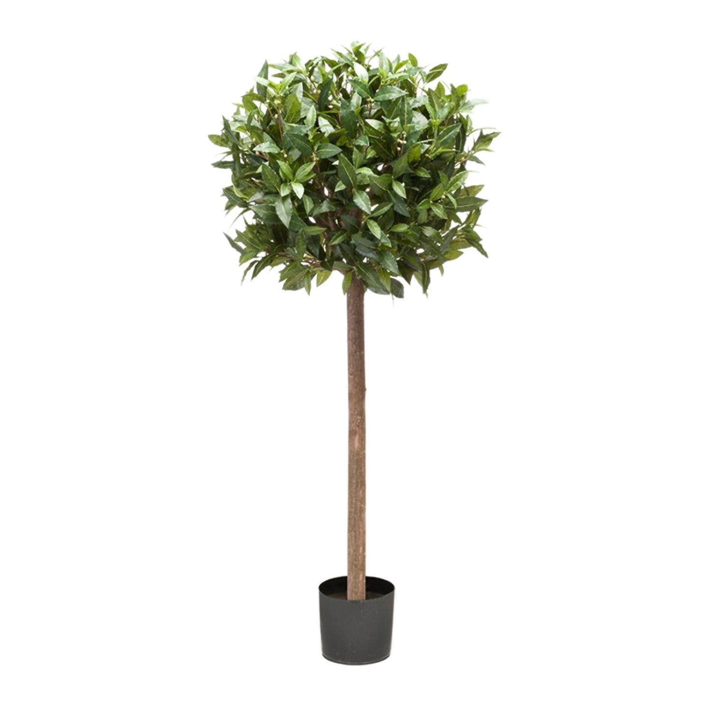Laurus Nobilis umělý