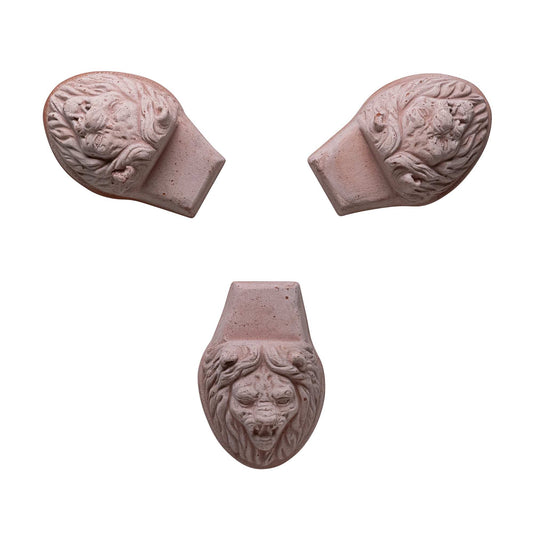 Lion Head RAW Rosa 3ks