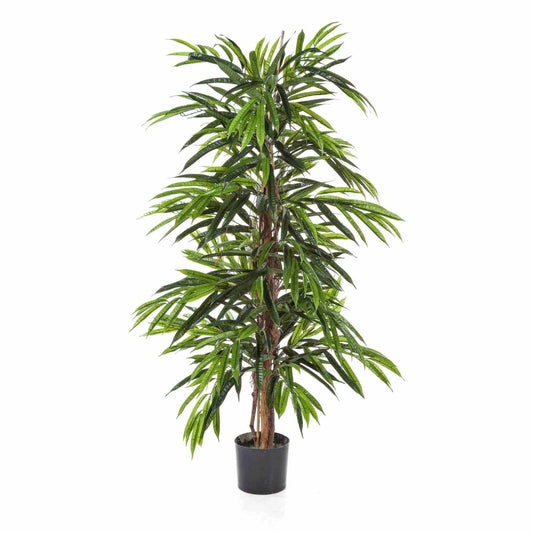 Longifolia umělá