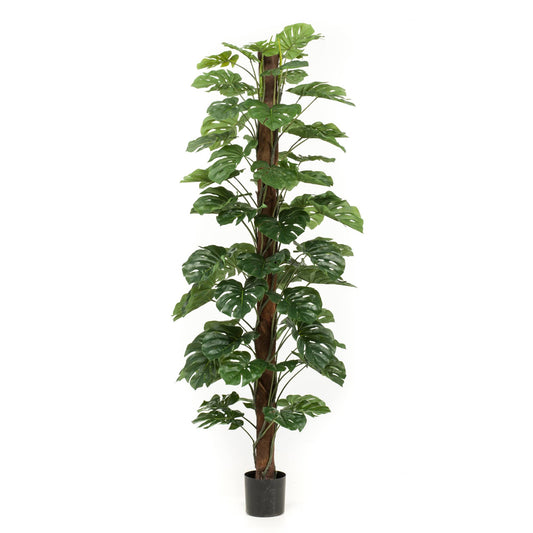 Monstera umělá