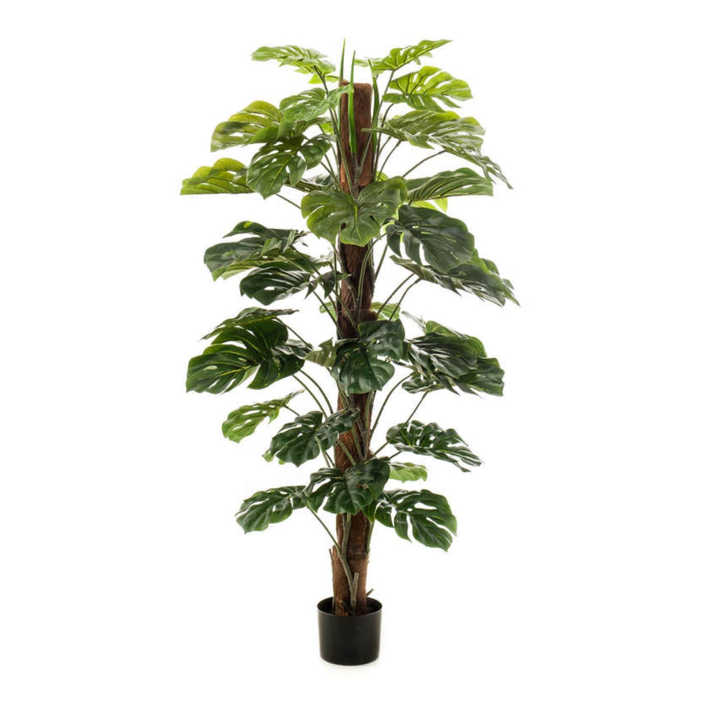 Monstera umělá
