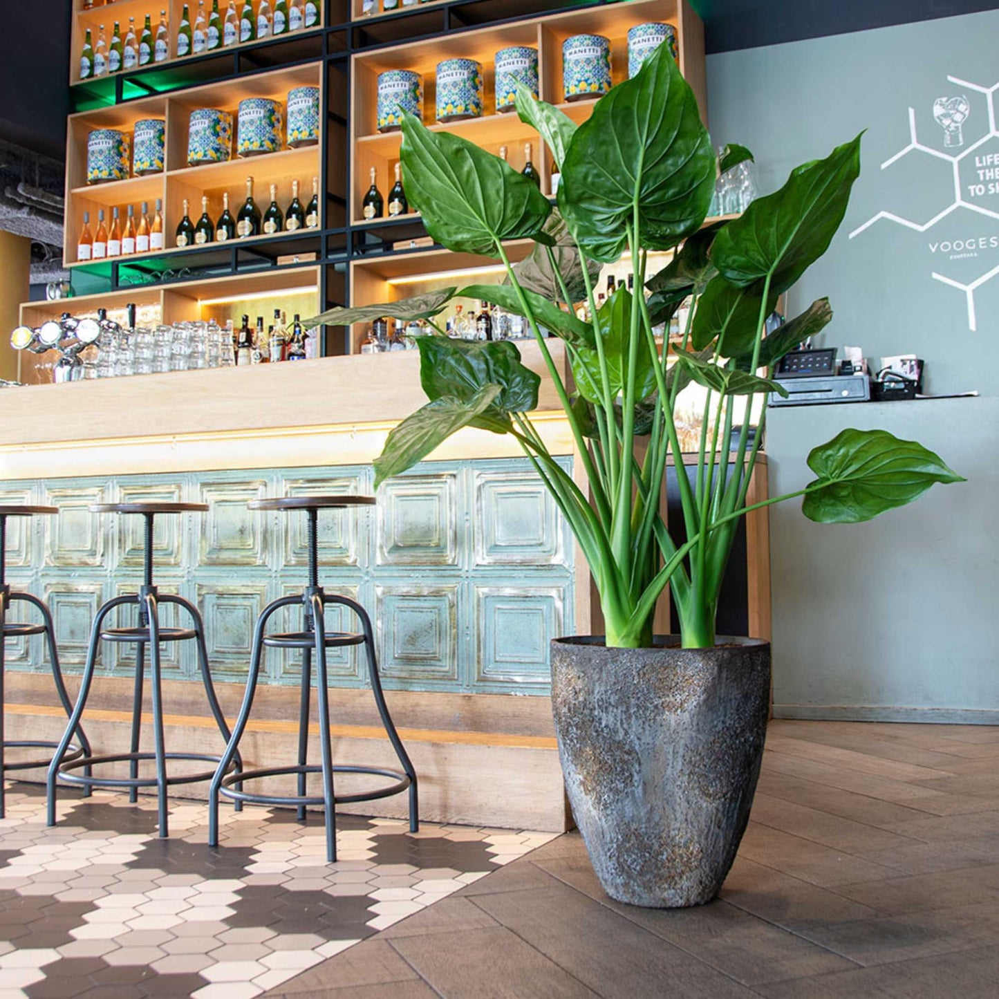 Bernd Imperial Brown