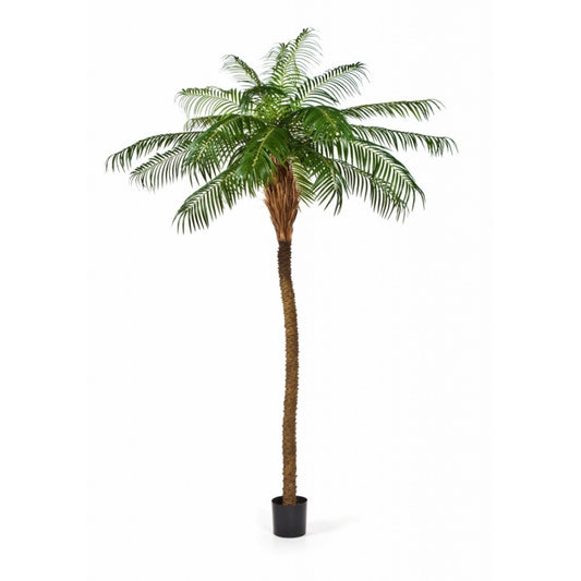 Palma Phoenix umělá