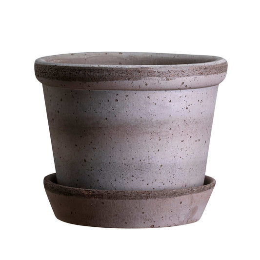 Parade RAW Grey