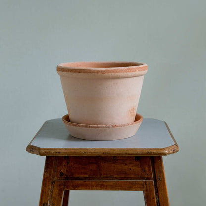 Parade RAW Rosa