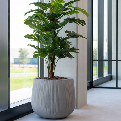 Pax Dark Grey (vert. ridg.)