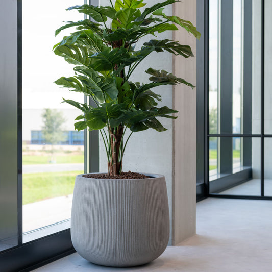 Pax Dark Grey (vert. ridg.)