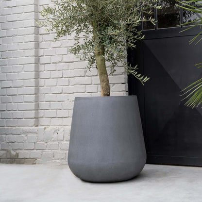 Pax Grey