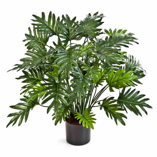 Philodendron umělý