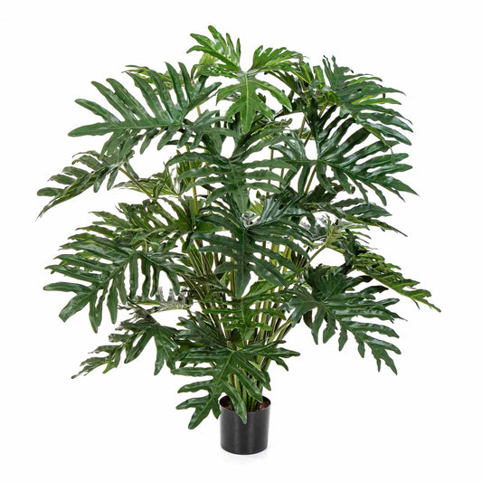 Philodendron umělý