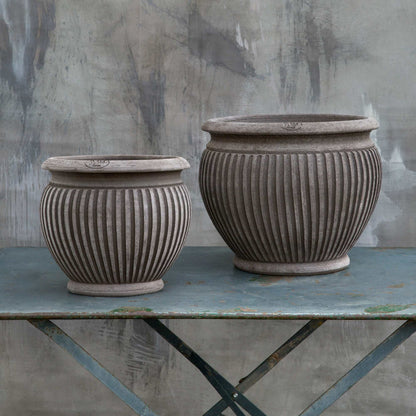 Piccolina RAW Grey
