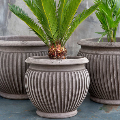 Piccolina RAW Grey