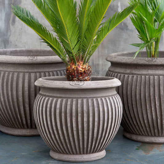 Piccolina RAW Grey