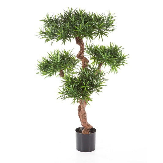Podocarpus Mountain umělý
