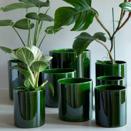 Romeo GLAZED Emerald Green