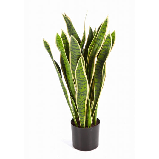 Sansevieria umělá