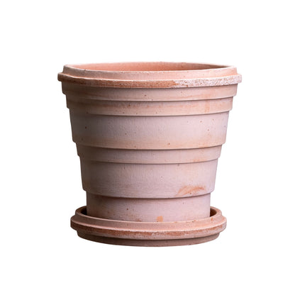 Saturn RAW Rosa