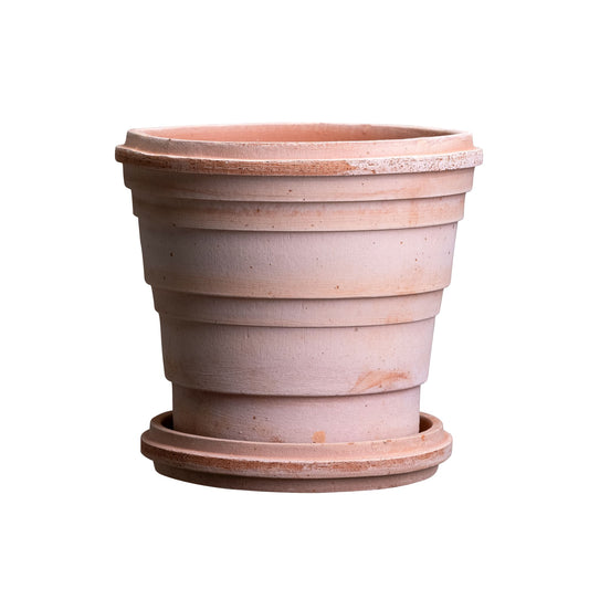 Saturn RAW Rosa