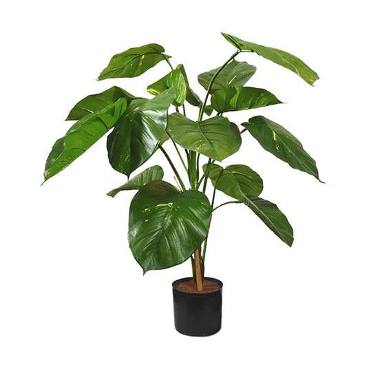 Scindapsus Aureum umělá