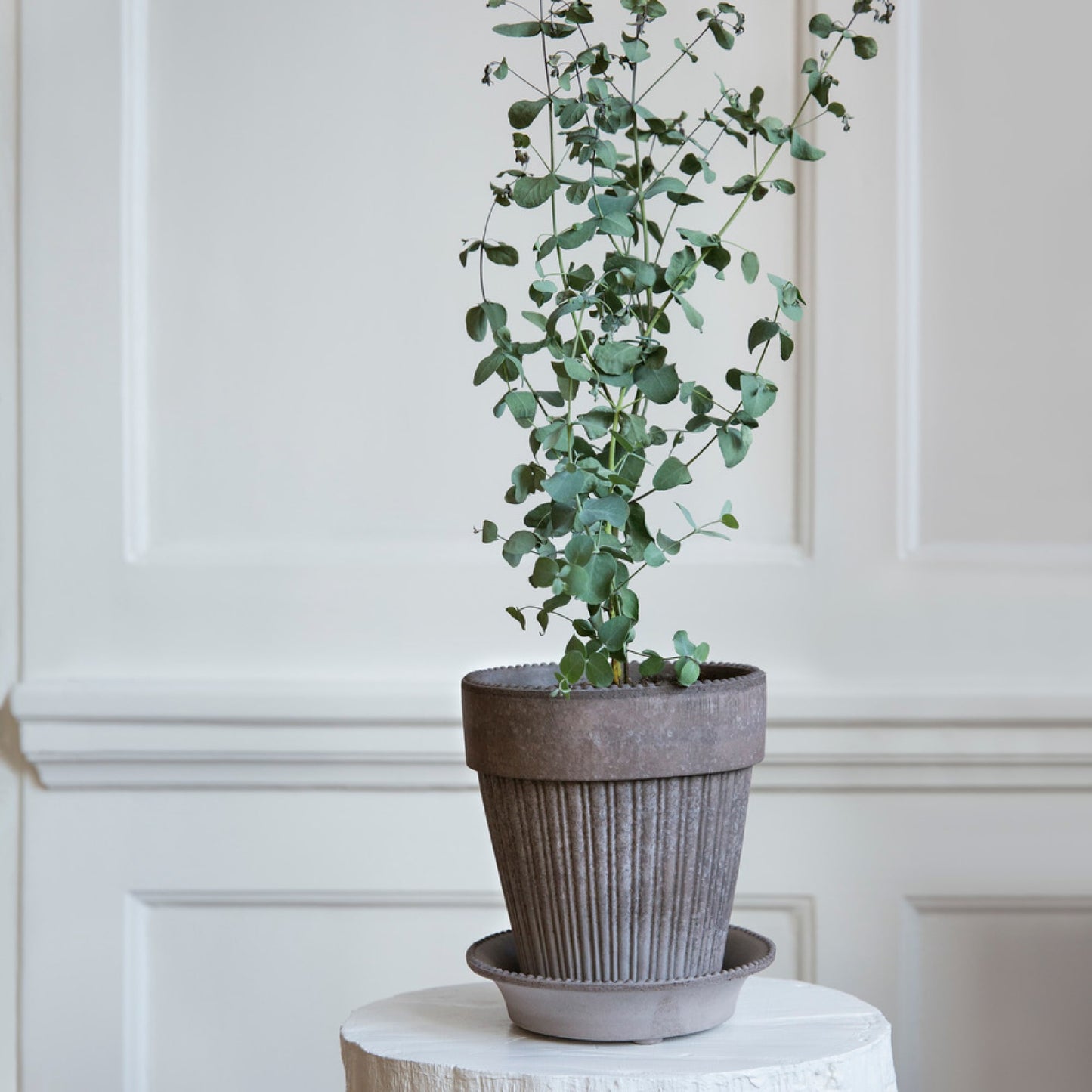 Simona RAW Grey