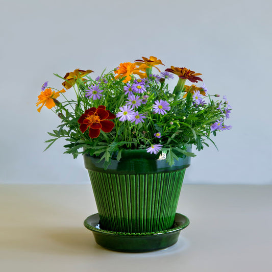Simona GLAZED Emerald Green