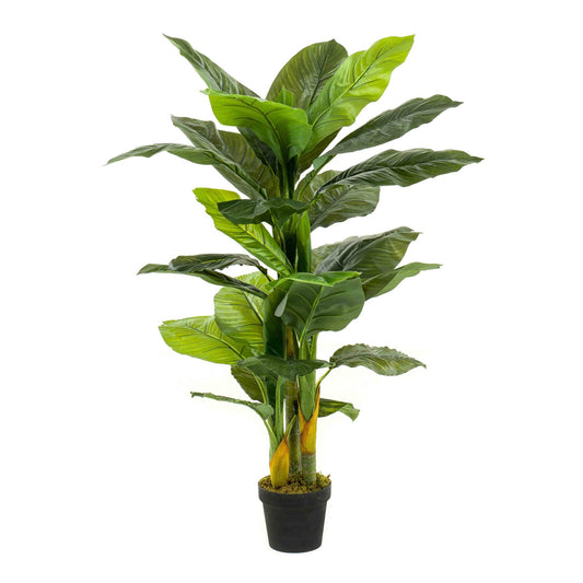 Spathiphyllum umělá