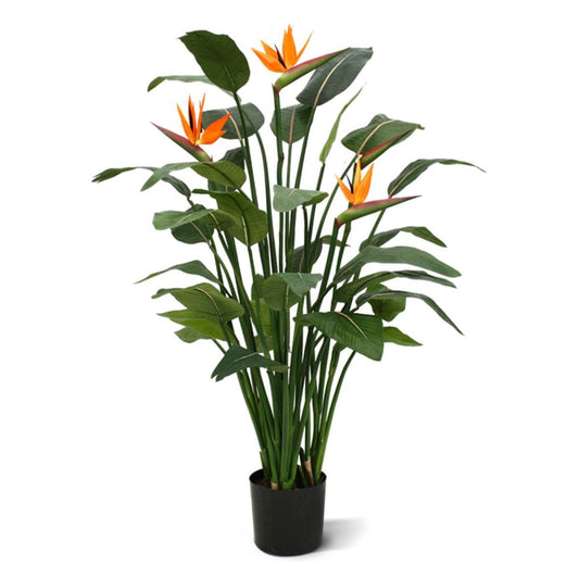 Strelitzia Nicolai umělá