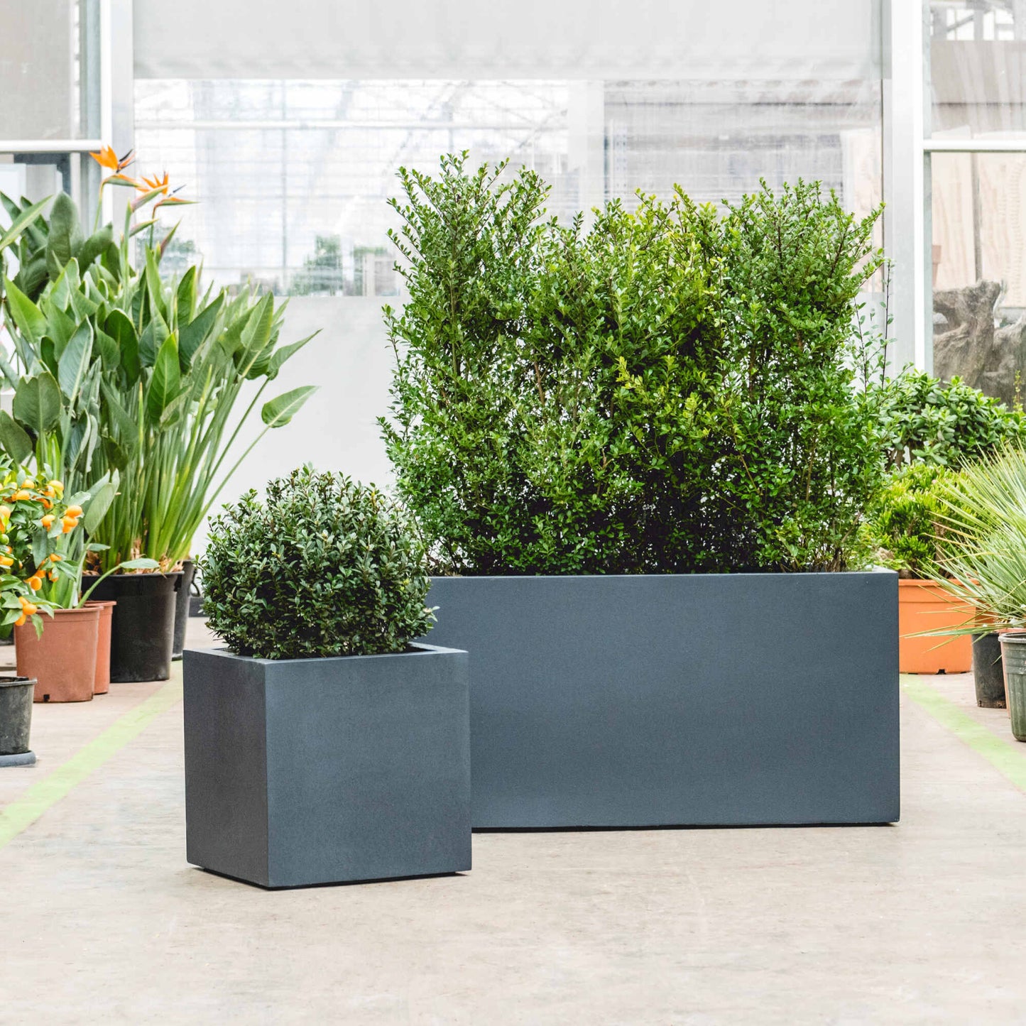 Stretto Box Anthracite