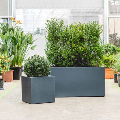 Stretto Box Anthracite