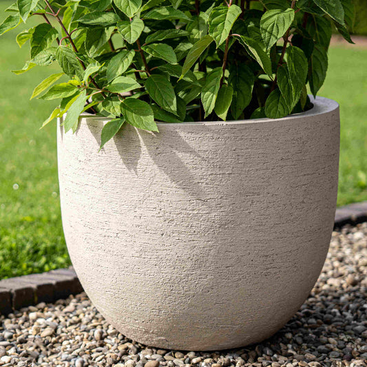 Terreno New Egg Pot Sand
