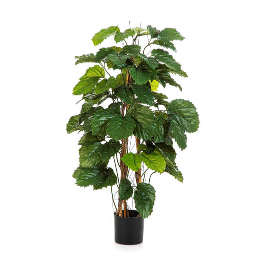 Tetrastigma umělý