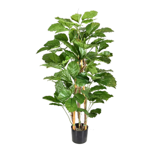 Tetrastigma Voinierianum umělý
