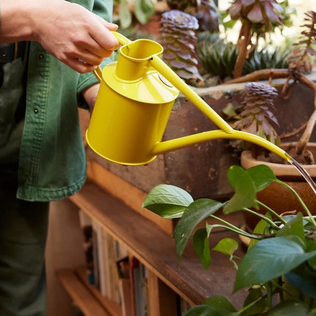 HAWS The Fazeley Flow Lotus Yellow konev - 1l