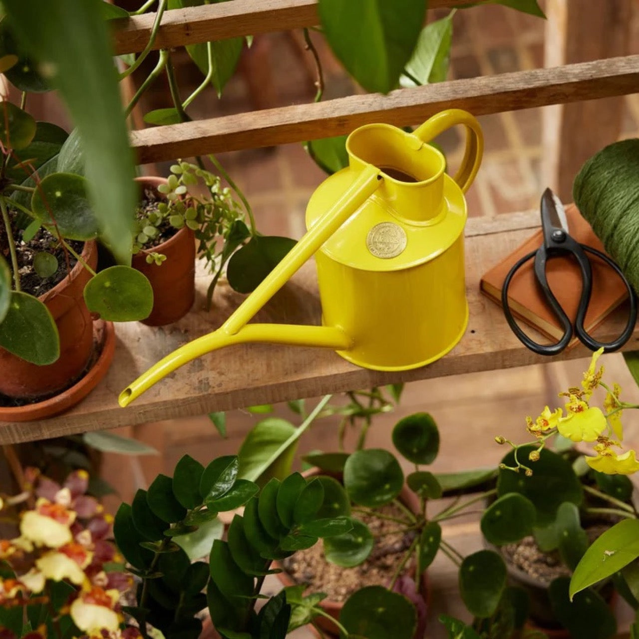 HAWS The Fazeley Flow Lotus Yellow konev - 1l